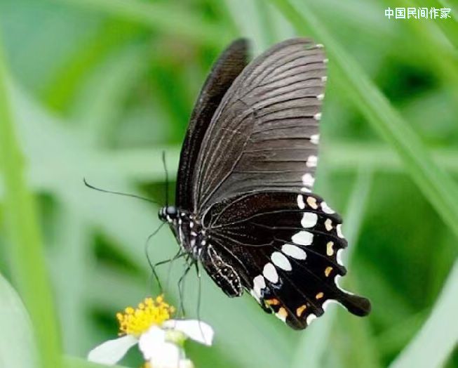 ��������һ������