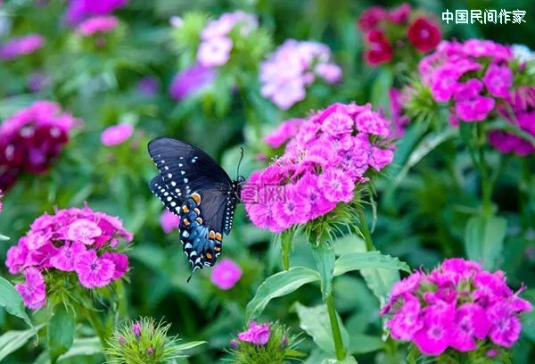 ���������ͷ��ӿ������